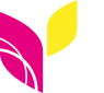 İPEKTRANS